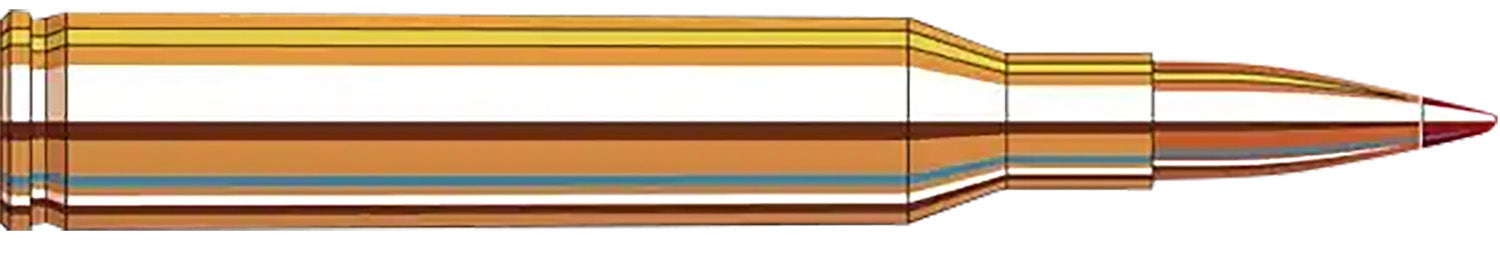 HORN 8143   PRCSN HUNT 2506      110 ELD-X   20/10