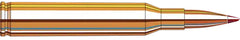 HORN 8143   PRCSN HUNT 2506      110 ELD-X   20/10