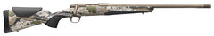 BRN 036010294 XB2 SPEED SPR     6.5PRC  20 OVIX/SB