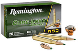 REM R20041       360 BCKHAM 180 CL TIP       20/10