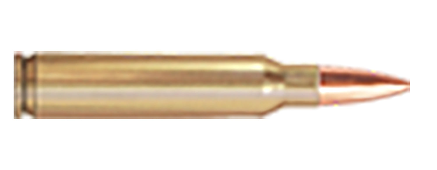 PPU PPRM5561P   556   FMJBT     55GR RNGMSTR 125/4