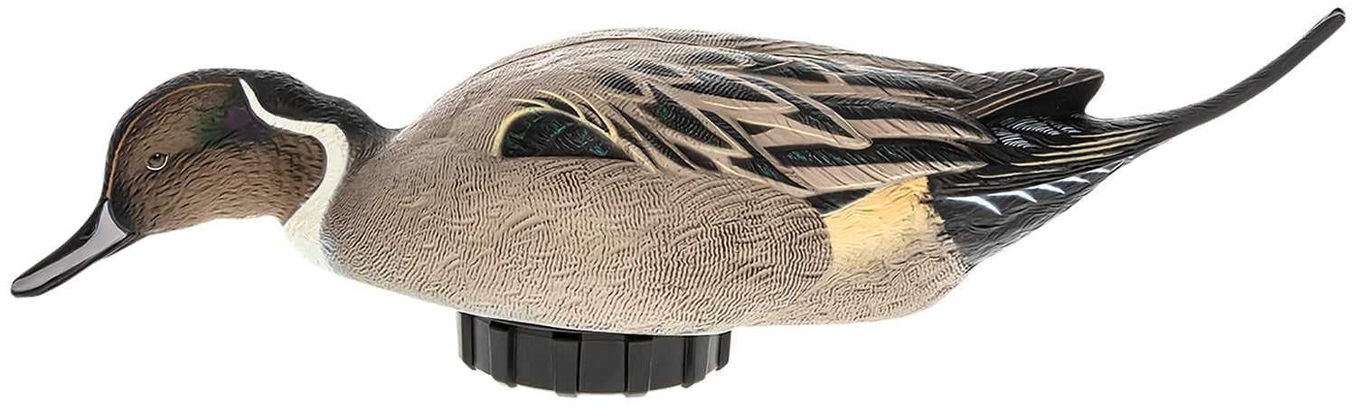 AVIAN AVX-PSH-PNSF POWER SHAKER/PINTAIL SURFDR