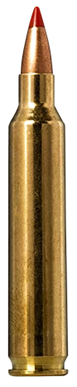 NORMA 20156502 204RG     40   VMAX TIPSTRIKE 20/10