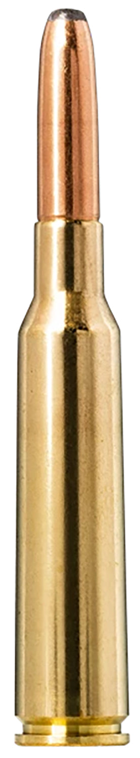 NORMA 20166622 65X55 SE 156GR PSP WHITETAIL  20/10