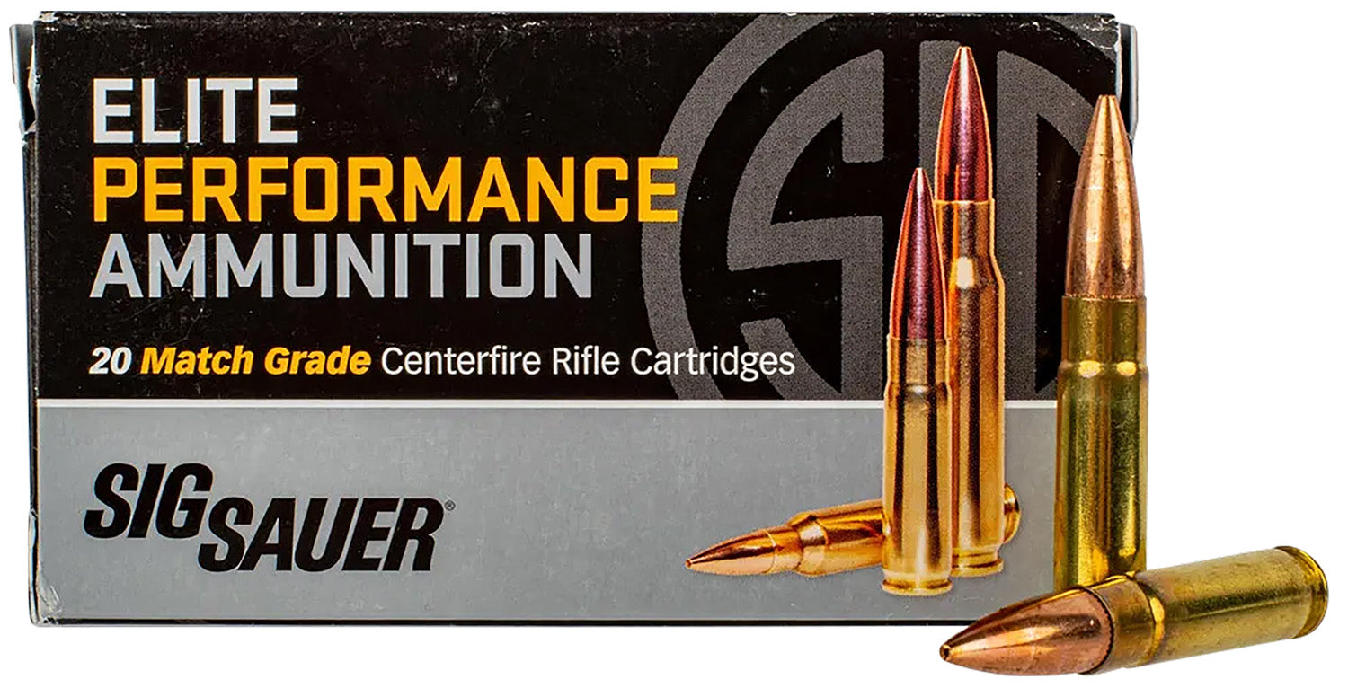 SIG T300BLK194ME-20  300BLK 194GR SUBTACT    20/10