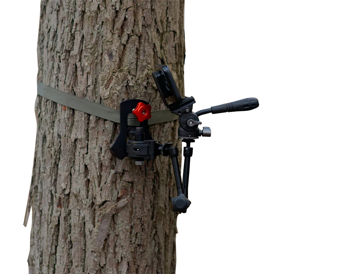 PRO MAG-TA1    TREE ADAPTER