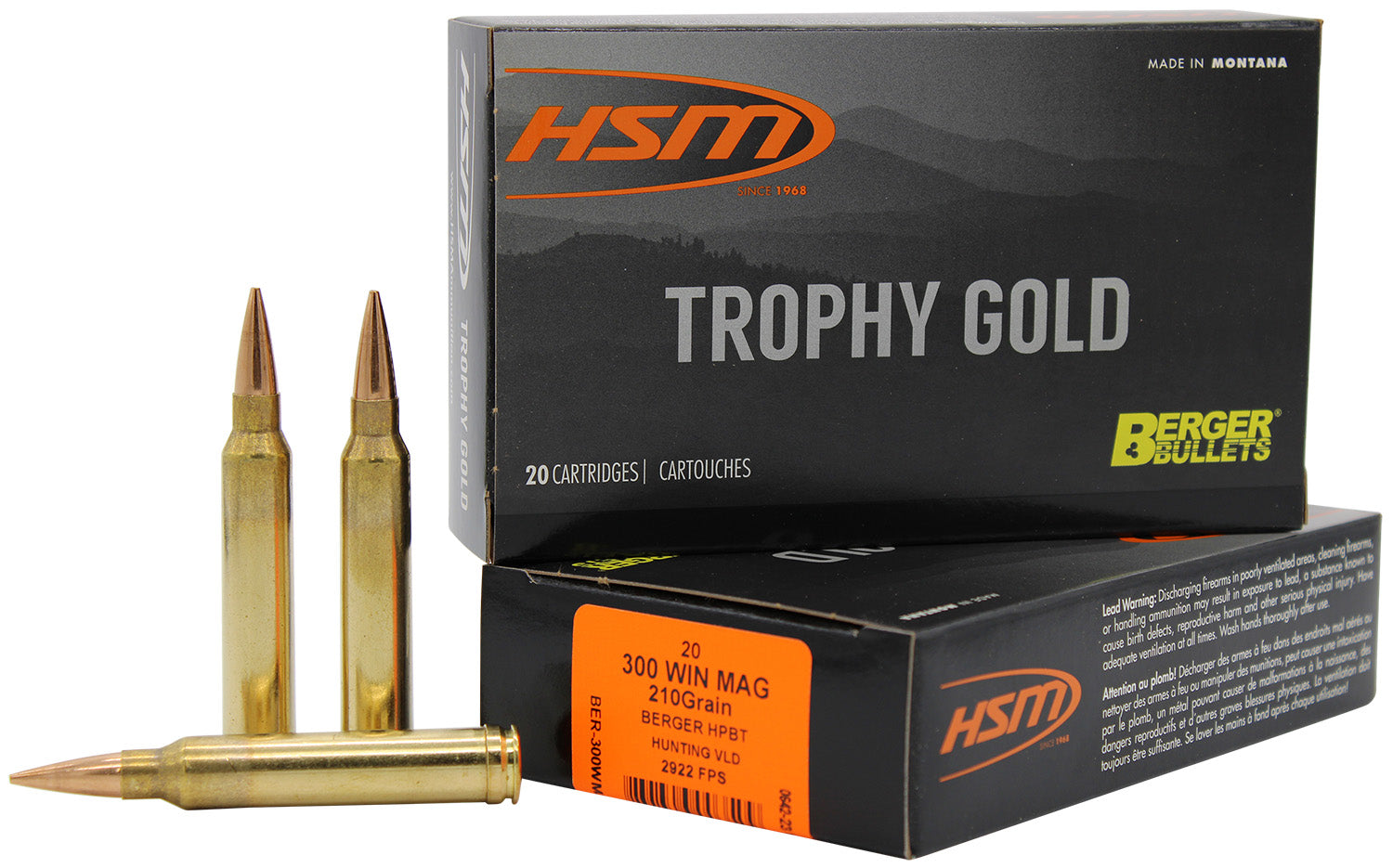HSM 300WM210VLD  300WIN  210 VLD             20/20