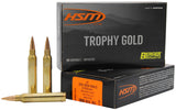 HSM 300WM210VLD  300WIN  210 VLD             20/20