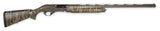 WTHBY XBL1228SMG   SORIX BOTTOMLAND     12/28  3.5