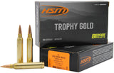 HSM 300WM185VLD  300WIN  185 VLD             20/20