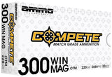 AMMOINC 300WM190BTHPA20 MATCH  300W  190BTHP 20/10