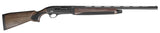 TRI 20232 RAPTOR FLD WALNUT            12/28 CT-3