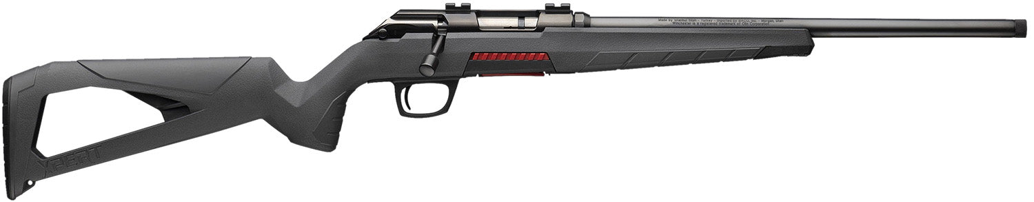 WGUN 525201204  XPERT SR  NS  22 WMR
