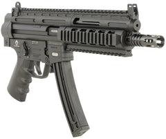 GER GGSG1622P     GSG-16 22LR      9.12 10RD   BLK