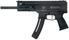 GP 8588005808606  STRIBOG TR22   22L PST 10"