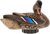 AVIAN AVX-PSH-MHPR  POWER SHAKER/MALLARD HEN PRNR