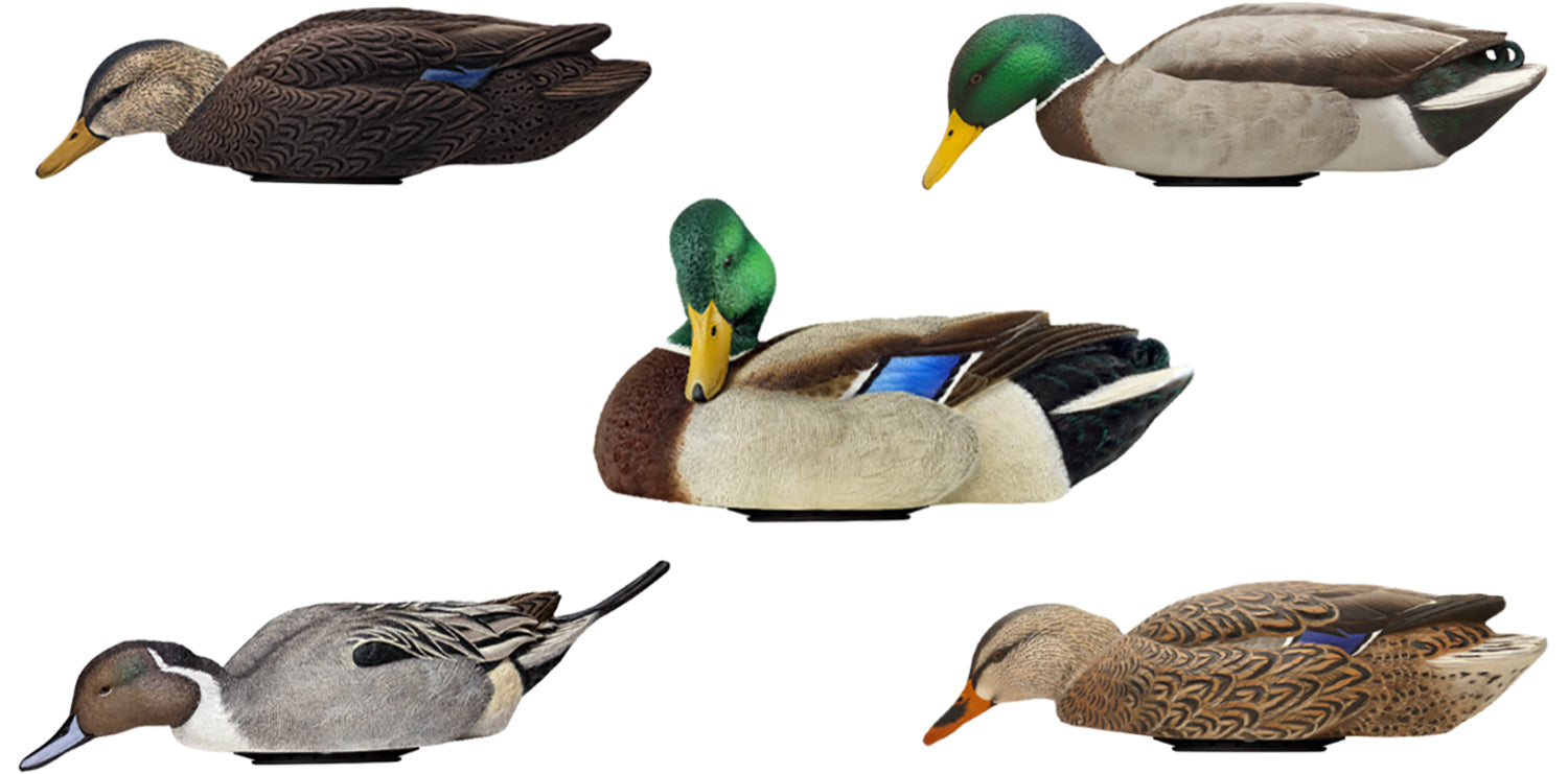 AVIAN AVX-PSW-MDLH  POWER SWIMMER/MALLARD DRAKE