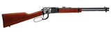 ROSSI RL22181WD-EN22  RIO B 22LR 18 15R BK/HW EAGL