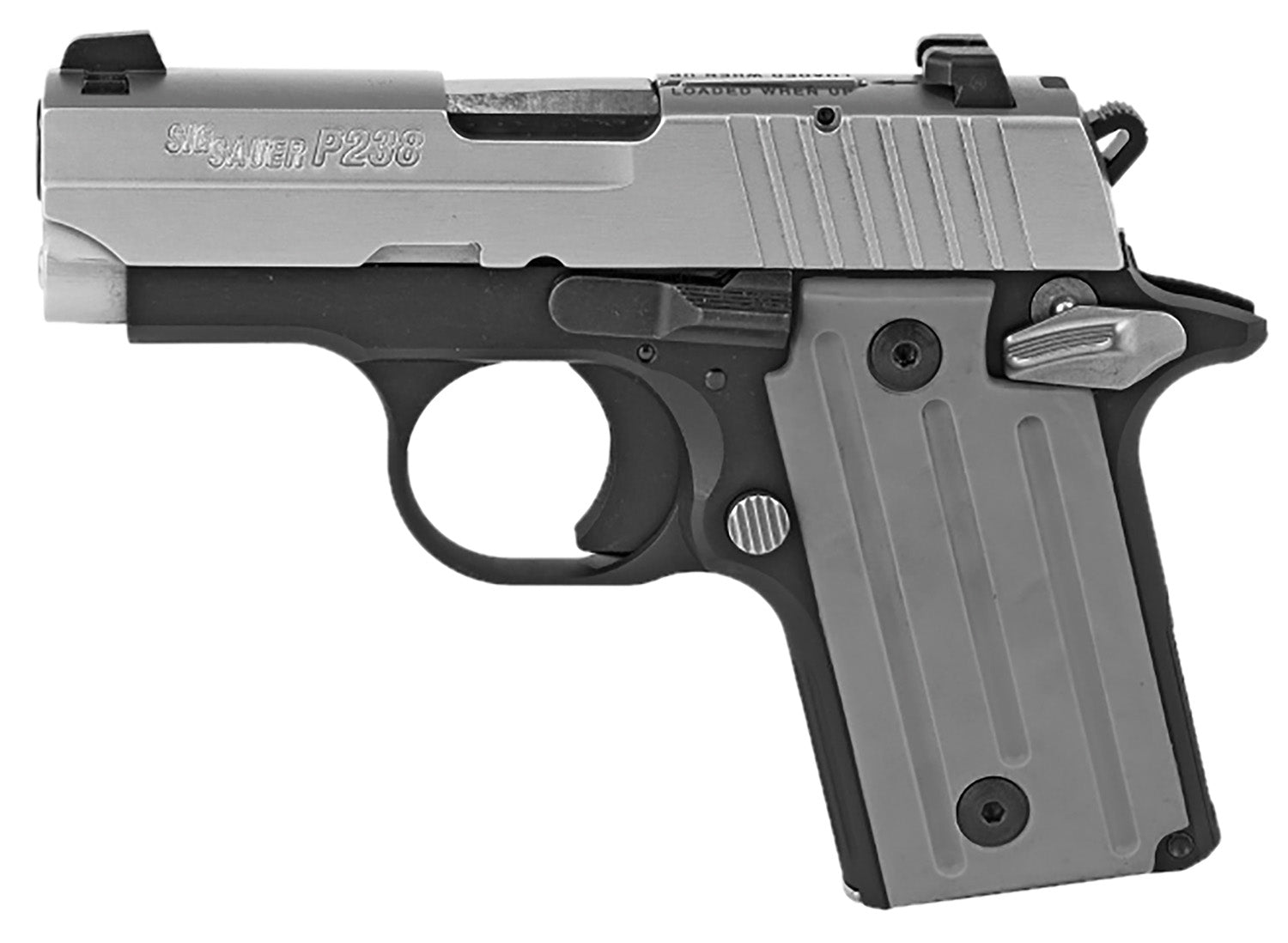 SIG 238380TSS2CA   *CA*P238 380 2.7      6R     SS