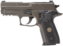 SIG 229RM9LEGIONR2   *MA*P229 9M 3.9" OR 3X10R GRY