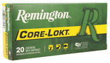 REM 29489  R300WSM1 300WSM 150GR CORELKT PSP 20/10