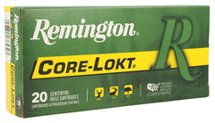REM 29489  R300WSM1 300WSM 150GR CORELKT PSP 20/10