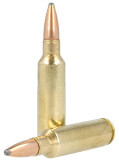 REM 29489  R300WSM1 300WSM 150GR CORELKT PSP 20/10