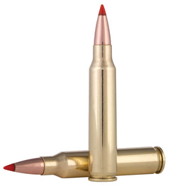 FED V223VM53     223REM 53GR HORNADY V-MAX   20/10