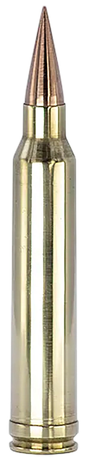FSM 300WM-175-SCV2    300W    175G           20/10