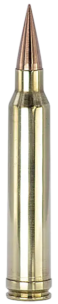 FSM 300WM-175-SCV2    300W    175G           20/10
