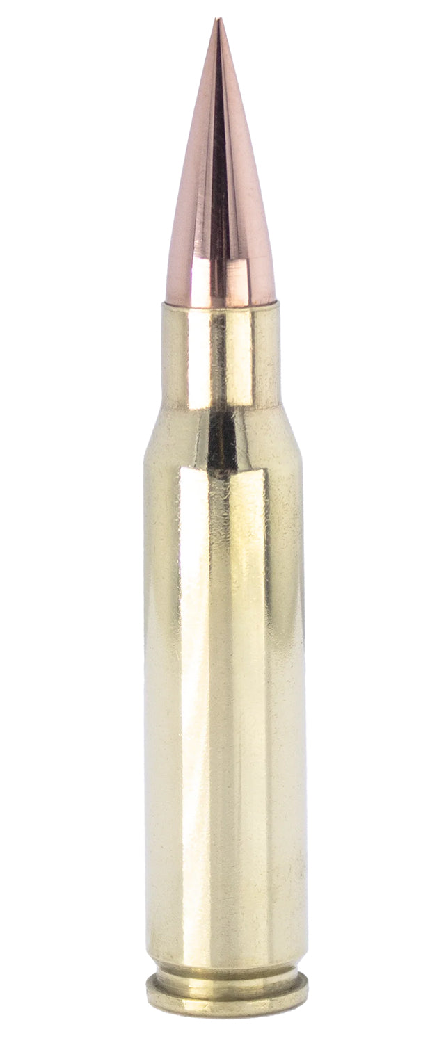 FSM 308-165-SCV22     308    165G            20/10
