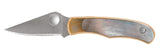 SPY C133AP         BUG NICKEL SILVER ABALONE