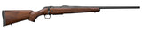 CZ 07719 600 PLUS AMERICAN      65CRD  24  5R WLNT