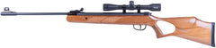 BLS 25000205 DIANA TWO-FIFTY CAL 4,5MM(.177)22J WD