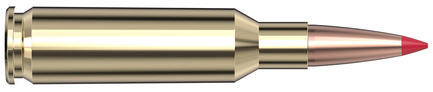 HORN 81533  VMATCH     224 VAL    62 ELD-VT  20/10
