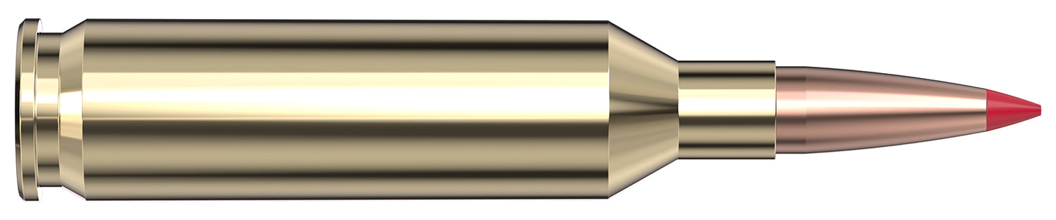 HORN 83414  VMATCH      22 CRD    69 ELD-VT  20/10