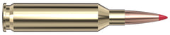 HORN 83414  VMATCH      22 CRD    69 ELD-VT  20/10