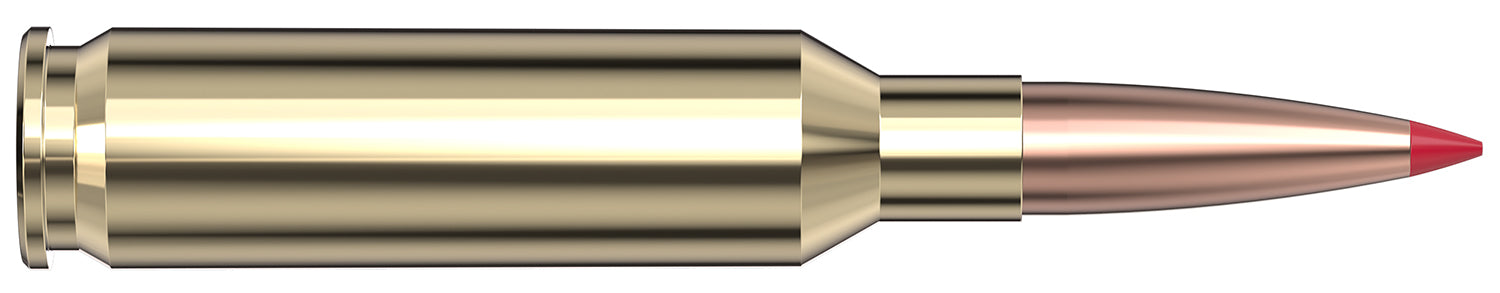 HORN 81424  VMATCH      25 CRD    95 ELD-VT  20/10