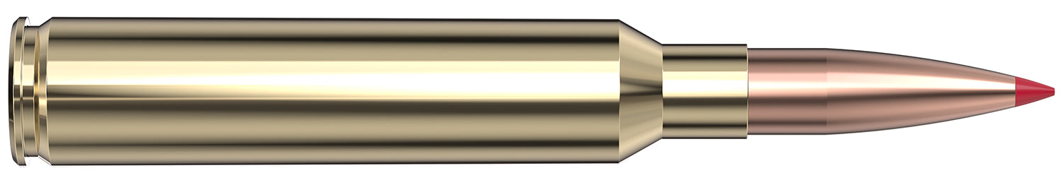 HORN 82168  VMATCH     300 PRC   174 ELD-VT  20/10
