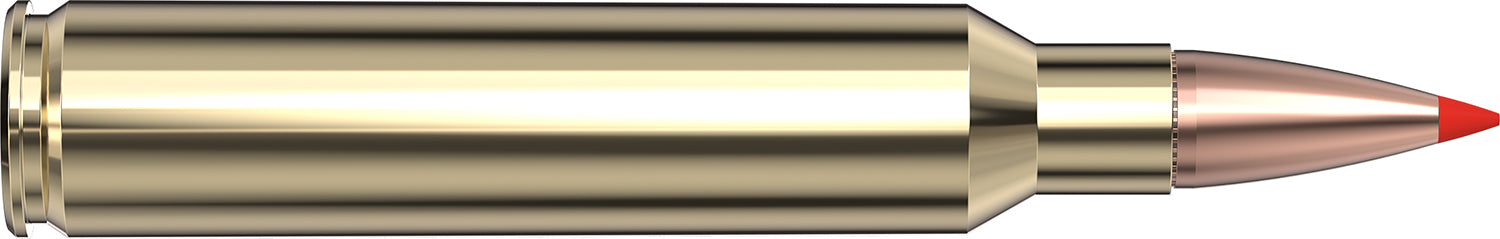 HORN 82163  AM WHTL 300 PRC   165 SST        20/10