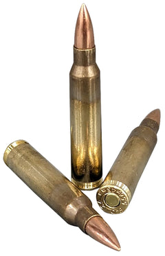 NEMO 556M193NA-55-FO  5.56 55GR FMJBT        20/50