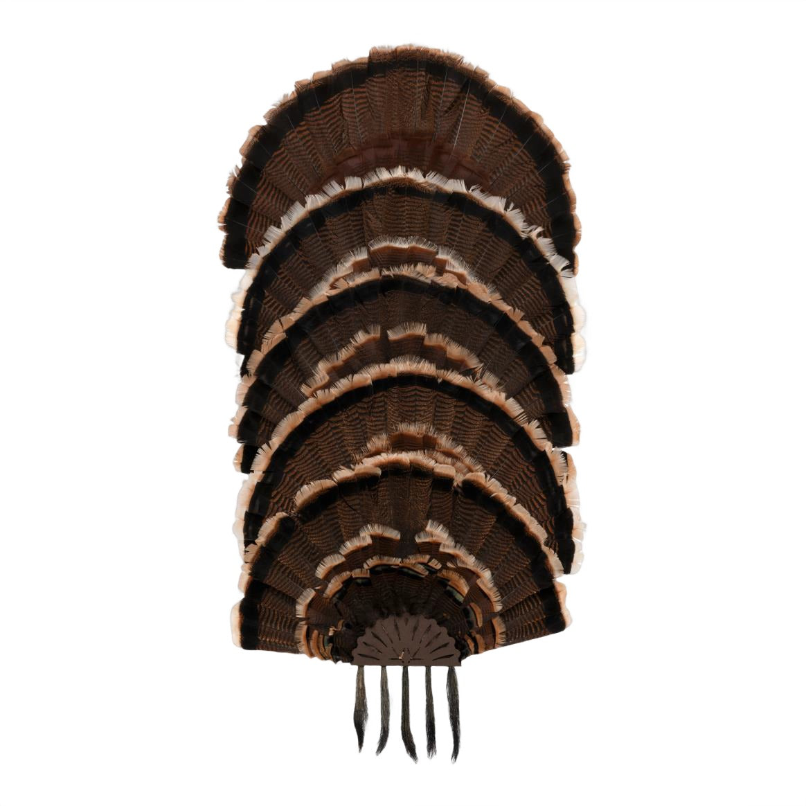 ALLEN 7258   EZ MOUNT STACKED TURKEY FAN MNT 5 STK