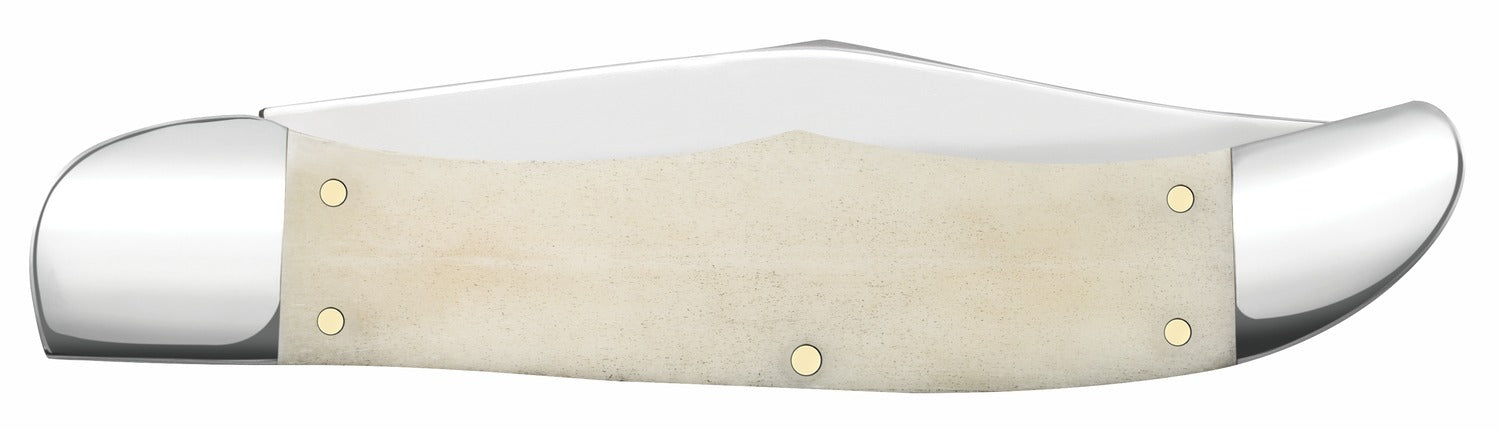 CASE 11024 SMOOTH NATURAL BONE FOLDING HUNTER