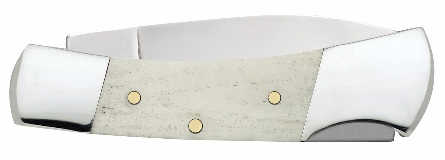 CASE 11026 SMOOTH NATURAL BONE LOCKBACK