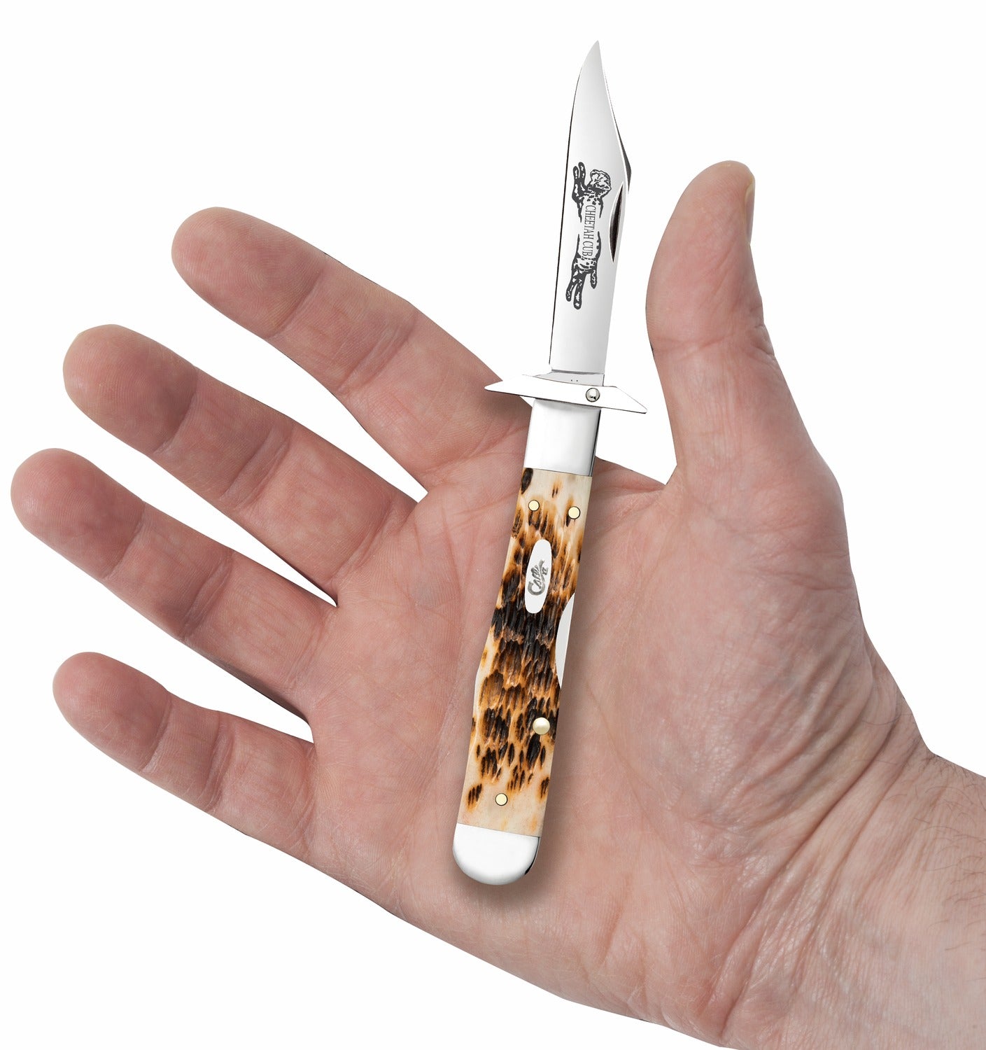 CASE 10812 CHEETAH CUB AMBER BONE