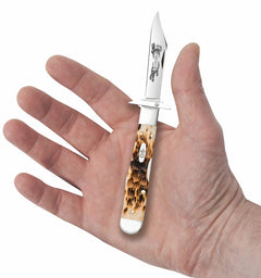 CASE 10812 CHEETAH CUB AMBER BONE