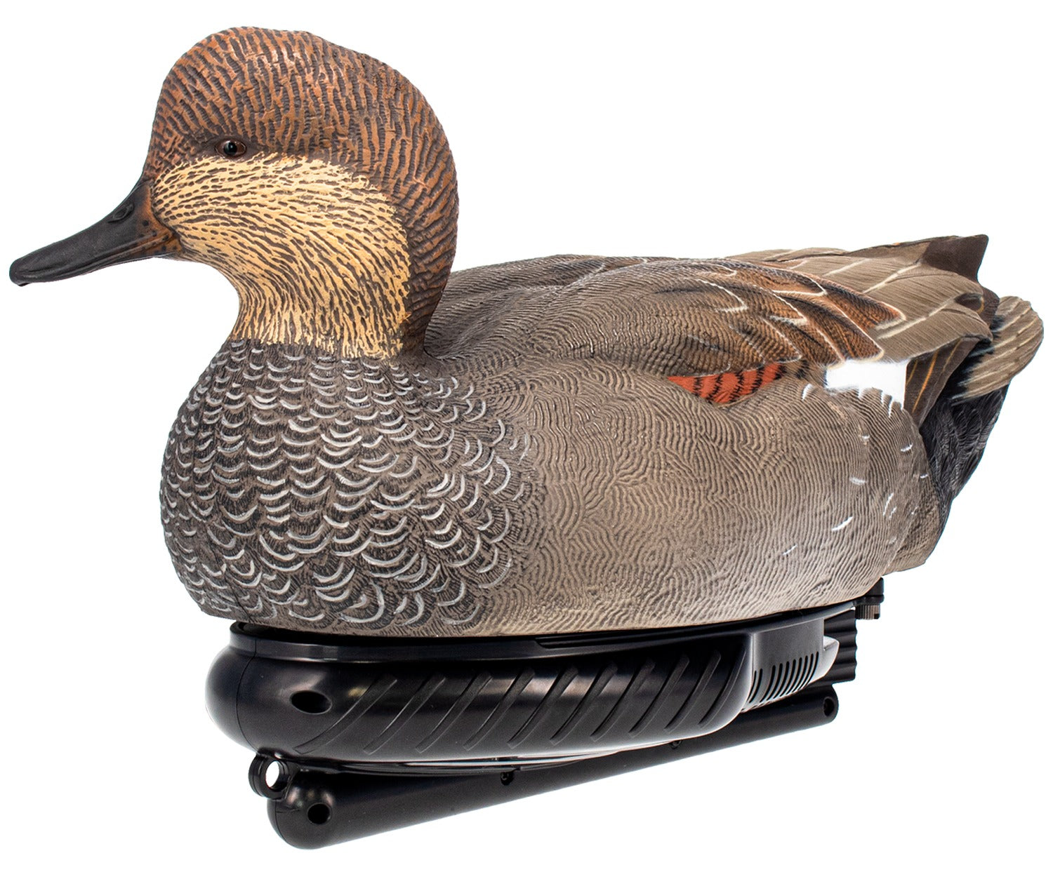 AVIAN AVX-PSW-GDSW  POWER SWIMMER GADWILL DRAKE