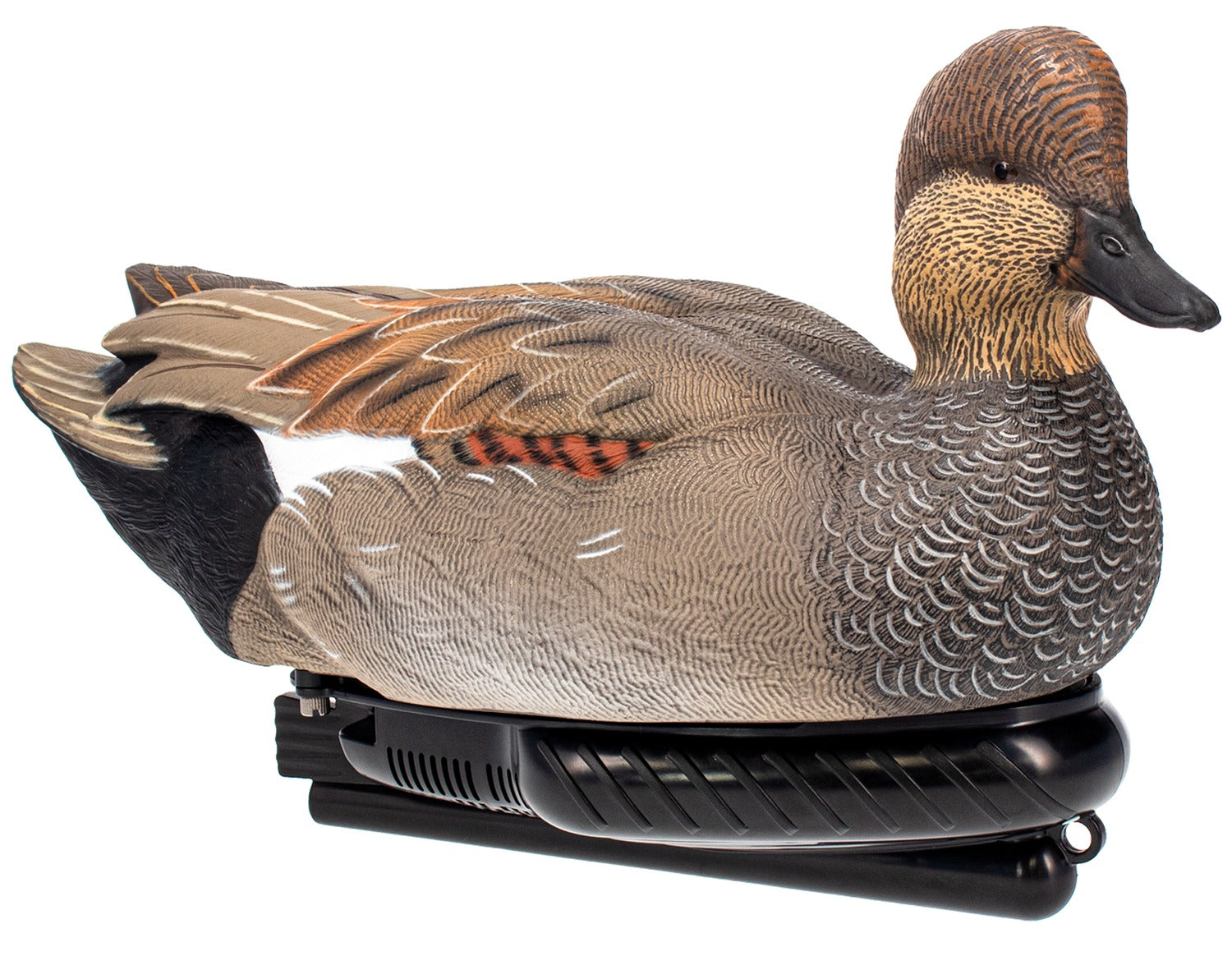AVIAN AVX-PSW-GDSW  POWER SWIMMER GADWILL DRAKE