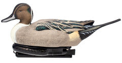 AVIAN AVX-PSW-PNSW  POWER SWIMMER PINTAIL DRAKE