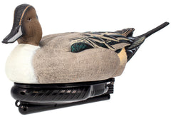 AVIAN AVX-PSW-PNSW  POWER SWIMMER PINTAIL DRAKE